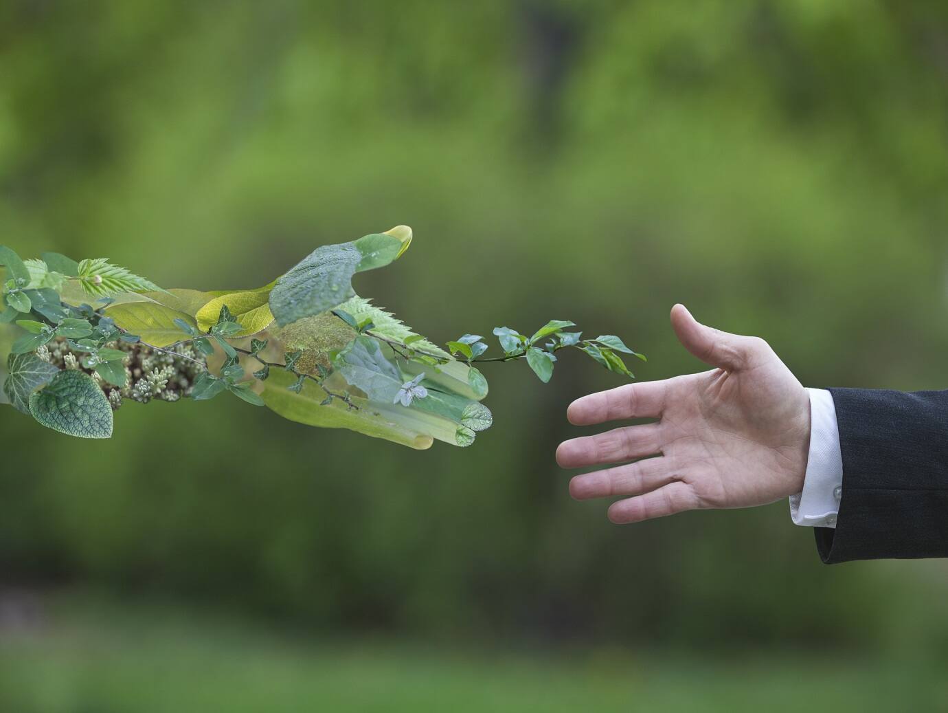 An arm extended to shake the hand of an illustration of a hand made of trees