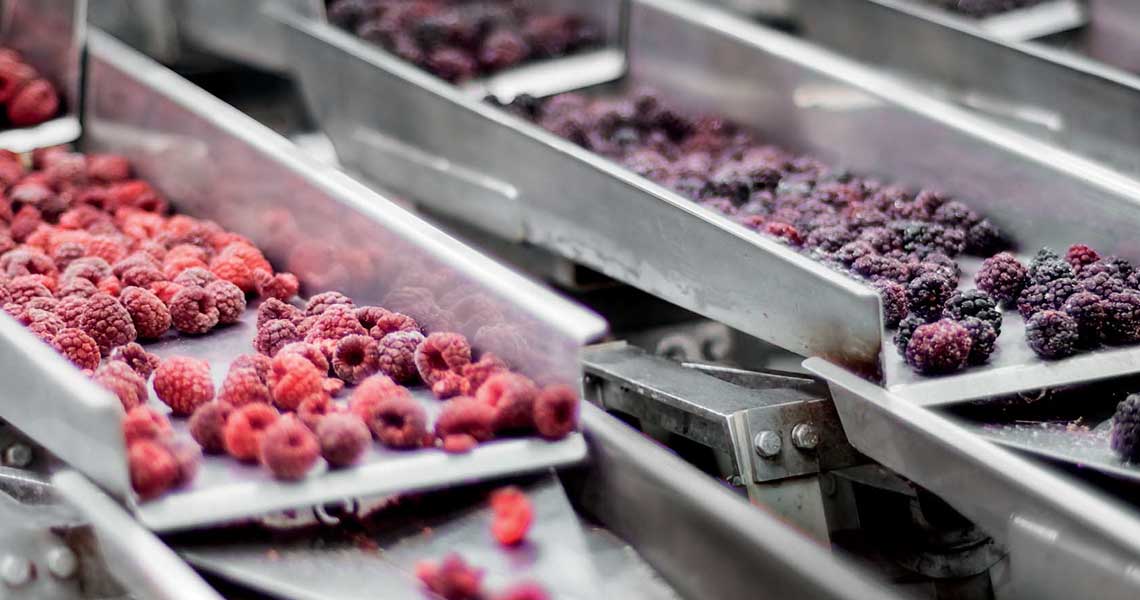bts_image-gallery_lebensmittel-und-getrankeindustrie_202508070835
